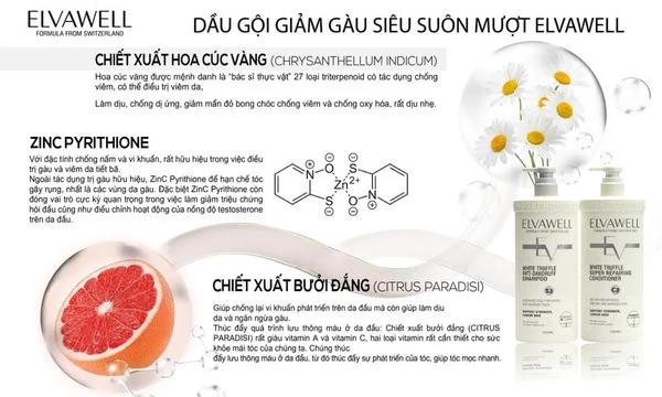 1435-781db9ef0be94706b2d4fc7d45ab937c-grande