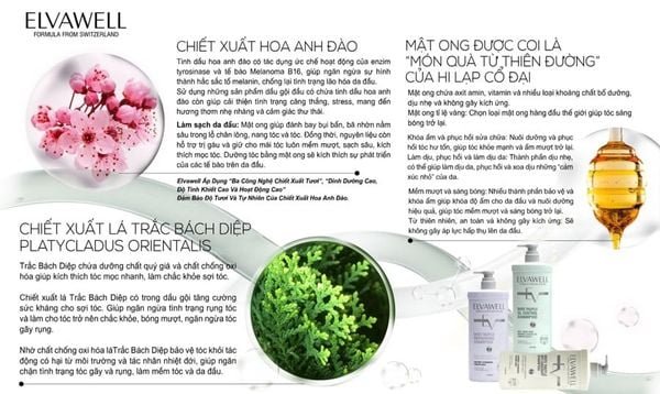 3241-c36ff60a0c2c41f1b9d026833131856b-grande