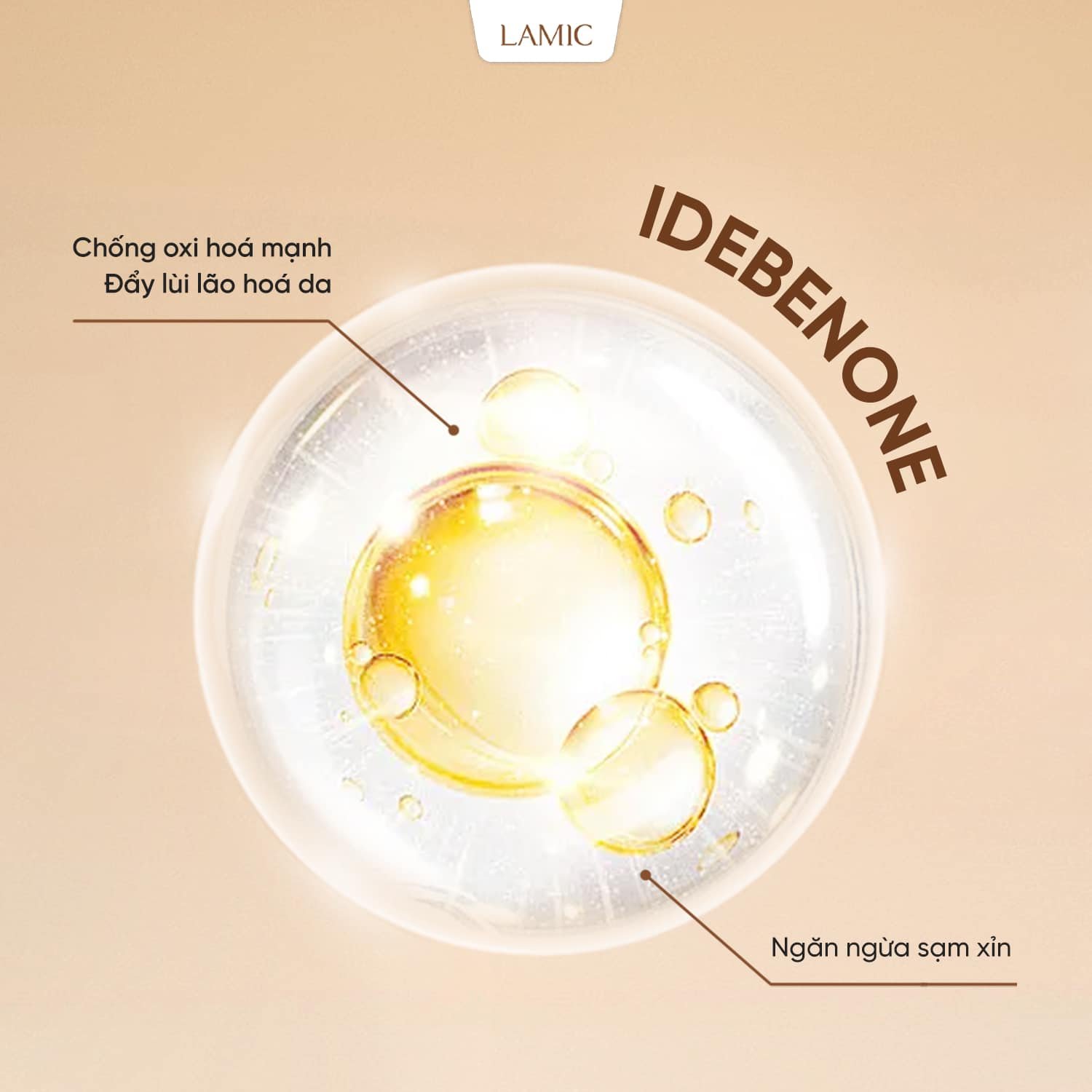 459589558-987554873384737-1818990408118593828-n