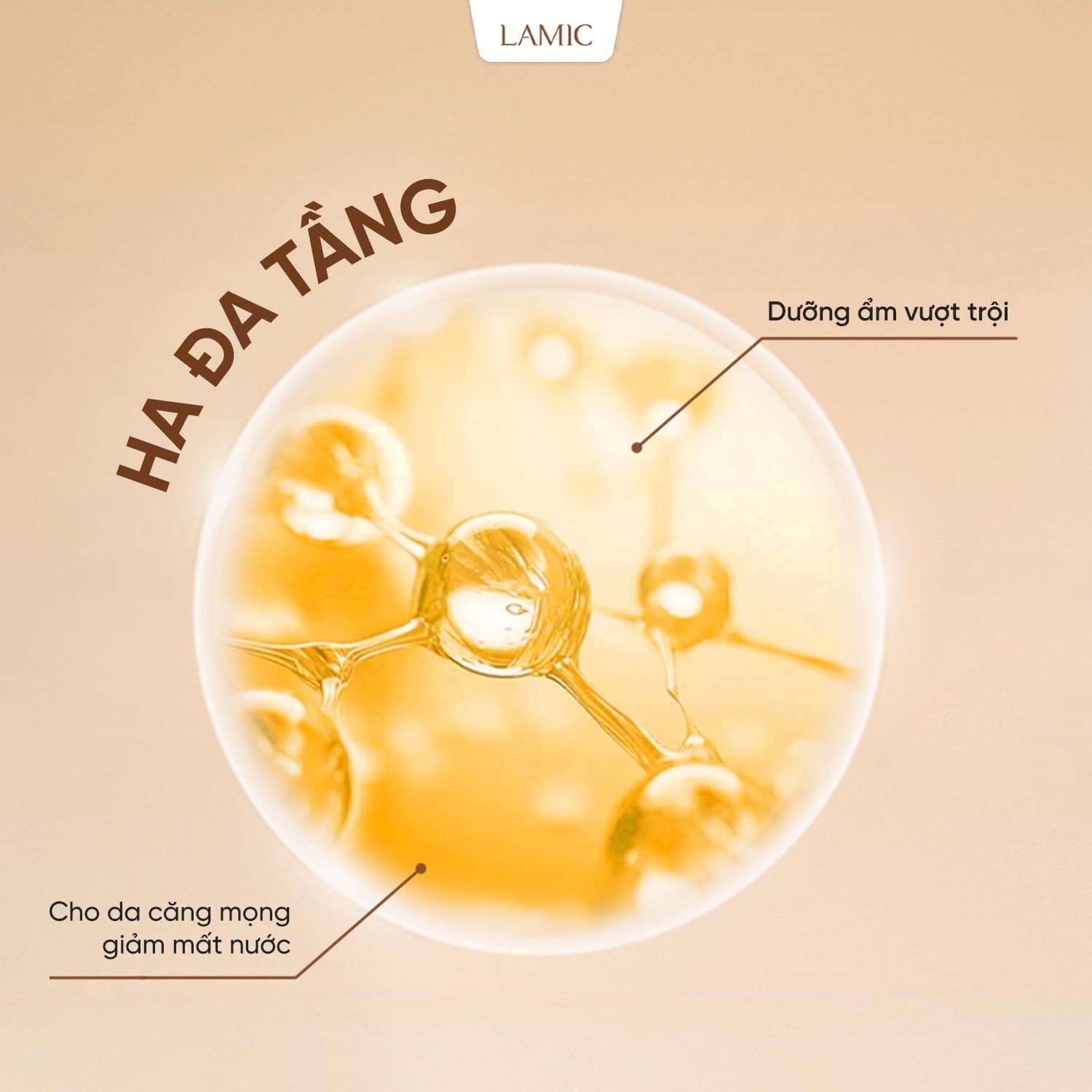 459729271-987554866718071-5636736587872298048-n