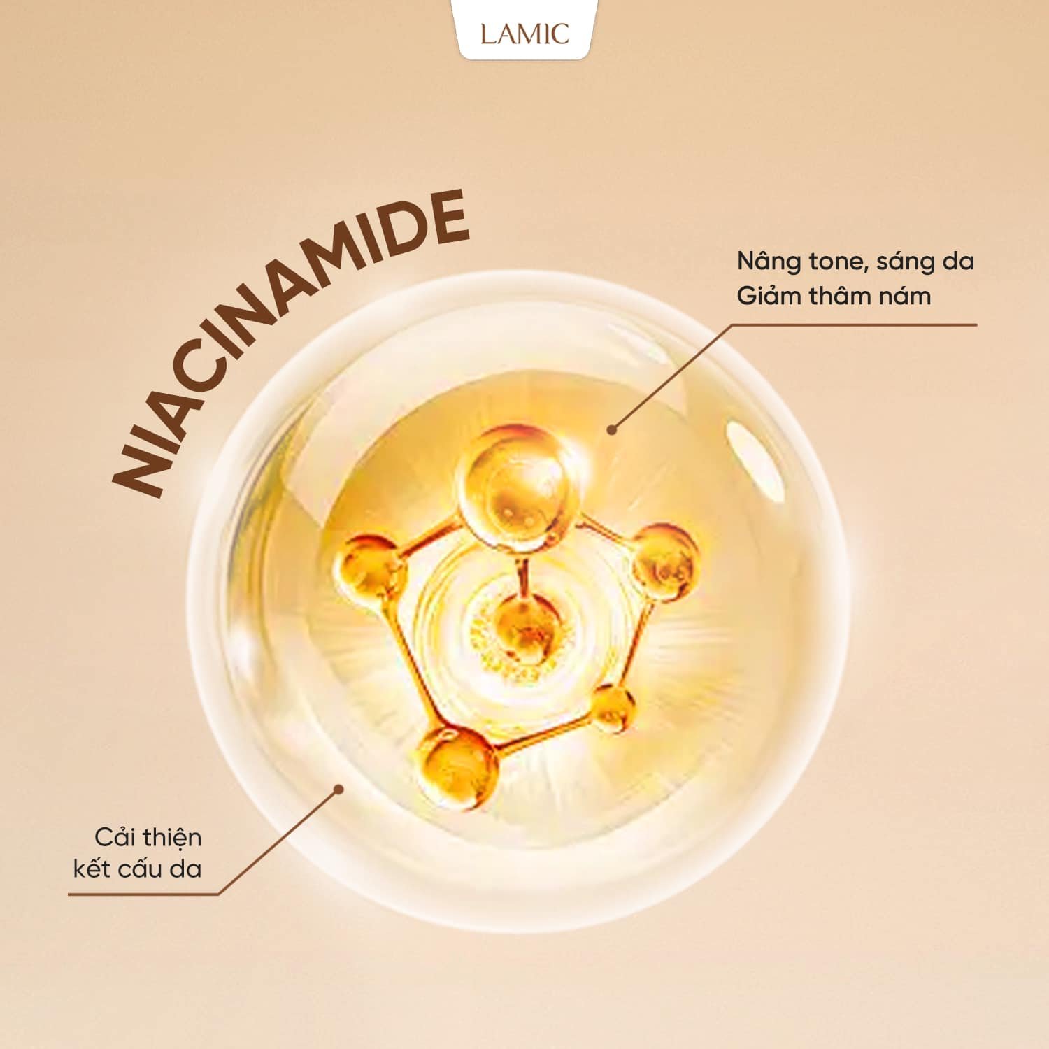 459777126-987554850051406-6775841939955680218-n