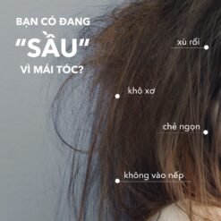 Dầu gội phục hồi tóc hư tổn do uốn, duỗi Epunol Cerablutin 500ML