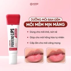 Son dưỡng giảm thâm môi Hàn Quốc Mediheal Labocare Pantenolips 10ml