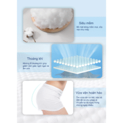 Băng vệ sinh AIWINA siêu mỏng cánh hương trà