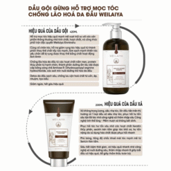 Bộ gội xả gừng detox hỗ trợ mọc tóc ngăn ngừa lão hóa da đầu Weilaiya Luxury 420ml x 200ml