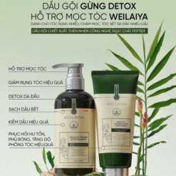 Bộ gội xả gừng detox hỗ trợ mọc tóc ngăn ngừa lão hóa da đầu Weilaiya Luxury 420ml x 200ml
