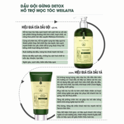 Bộ gội xả gừng detox hỗ trợ mọc tóc ngăn ngừa lão hóa da đầu Weilaiya Luxury 420ml x 200ml