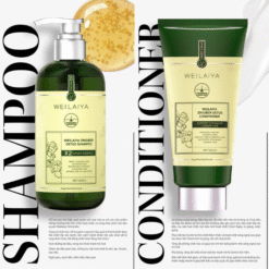 Bộ gội xả gừng detox hỗ trợ mọc tóc ngăn ngừa lão hóa da đầu Weilaiya Luxury 420ml x 200ml