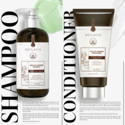 Bộ gội xả gừng detox hỗ trợ mọc tóc ngăn ngừa lão hóa da đầu Weilaiya Luxury 420ml x 200ml