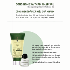 Bộ gội xả gừng detox hỗ trợ mọc tóc ngăn ngừa lão hóa da đầu Weilaiya Luxury 420ml x 200ml