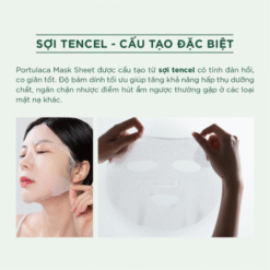 Mặt nạ ngừa mụn, giảm kích ứng Caryophy Portulaca Mask Sheet 3in1 22g