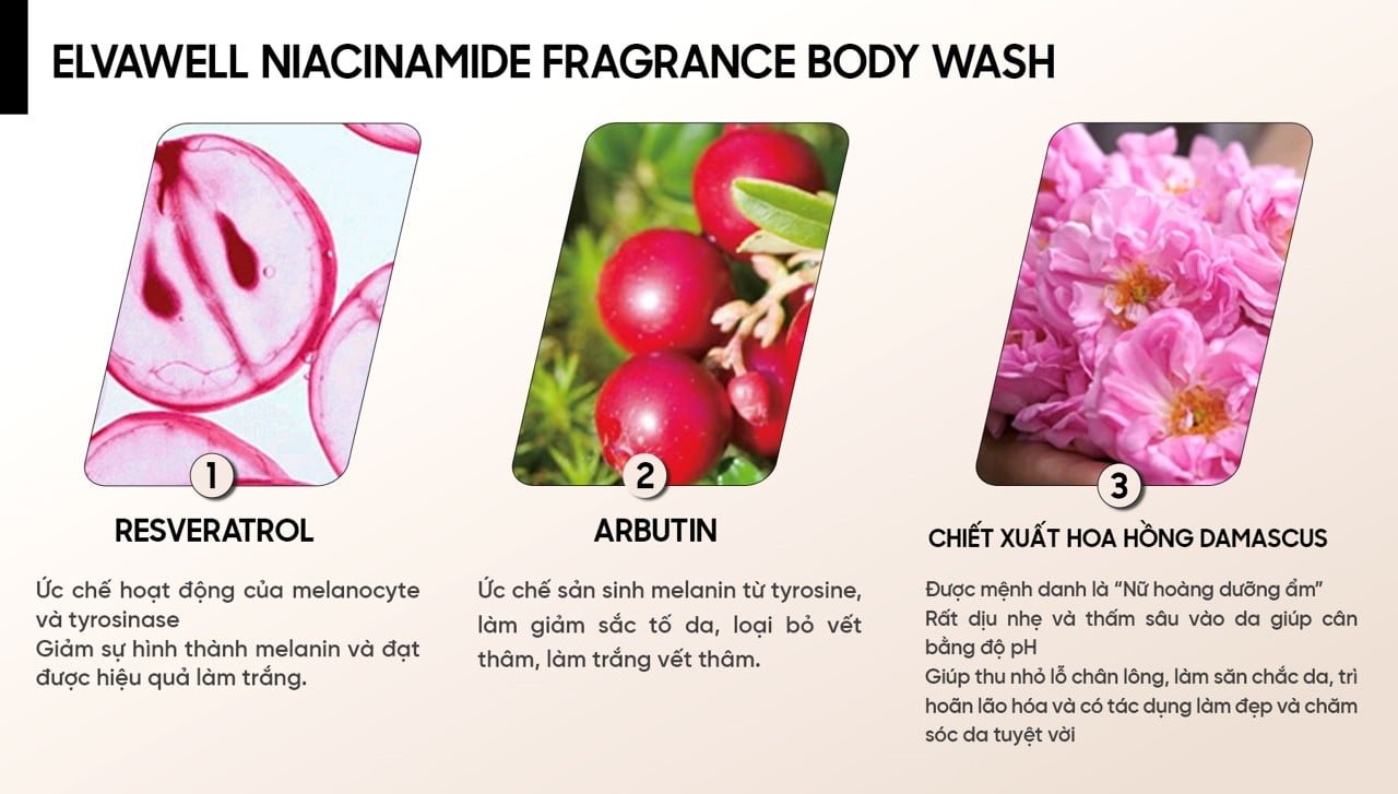 picture1-8813f2fb051f422588312f0821d5777b