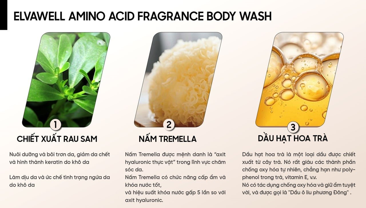 picture1-f814bc7fab064d6da666f9469a8731e4