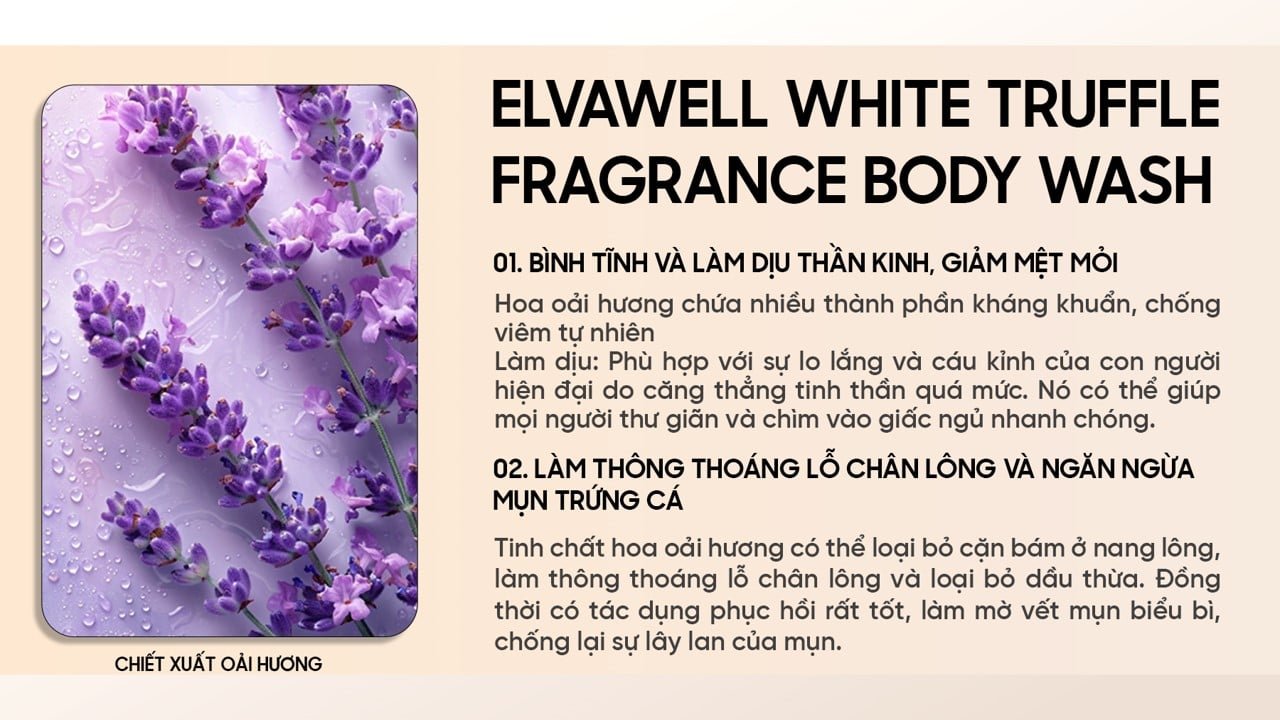 picture10-e325dd28aae4414e8e14ff3761a5e6e8