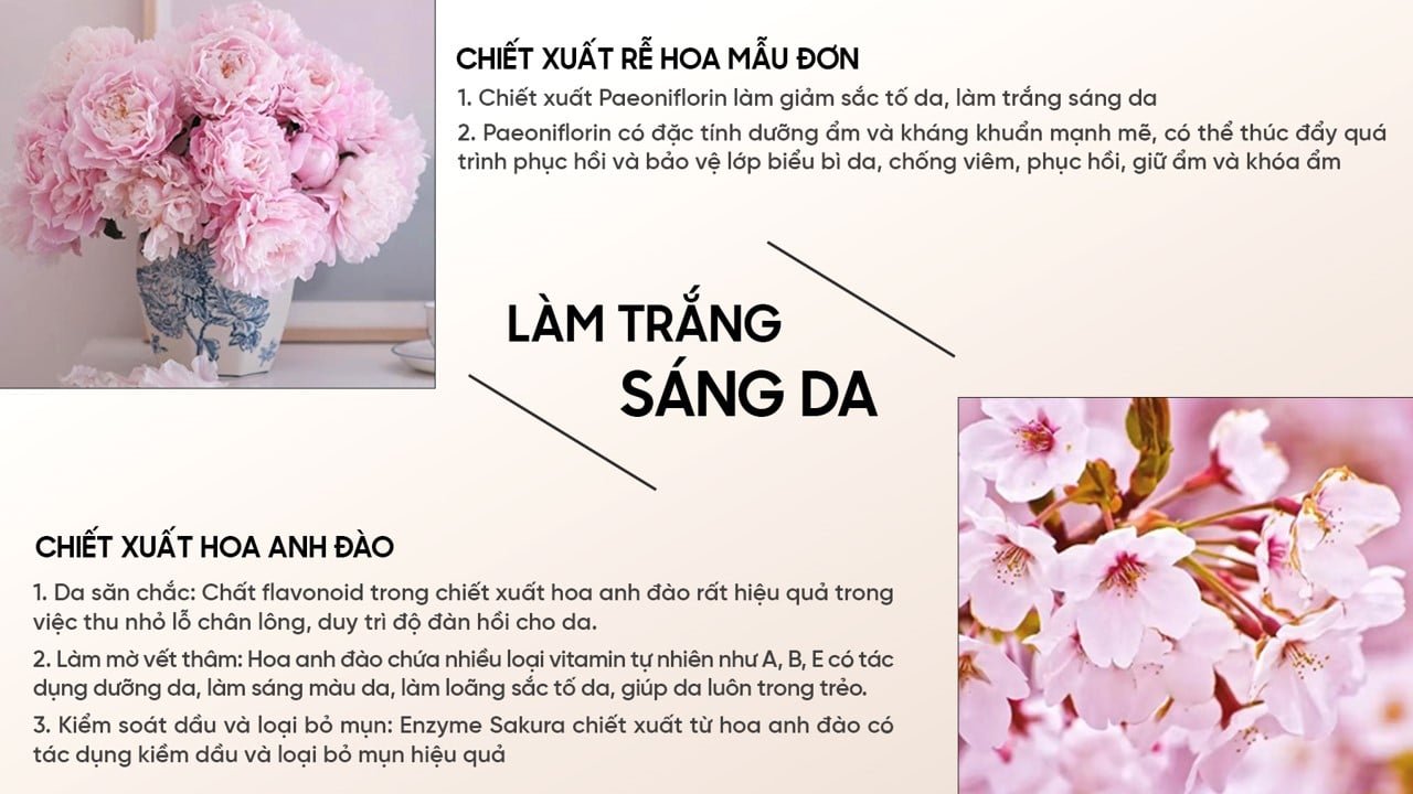 picture2-584421ae87264ac1a86a0ddd472649b0