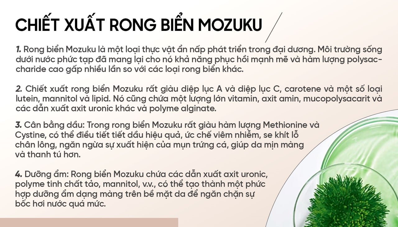 picture2-81b9f995f2484042ad1d7764b22e7559