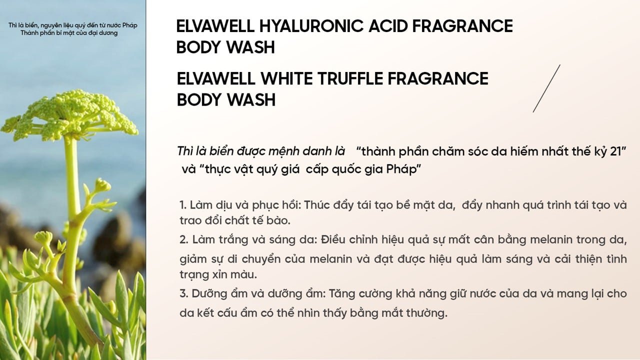 picture5-c1cdf0c1edad432c80a54eb0ef686dfe-1