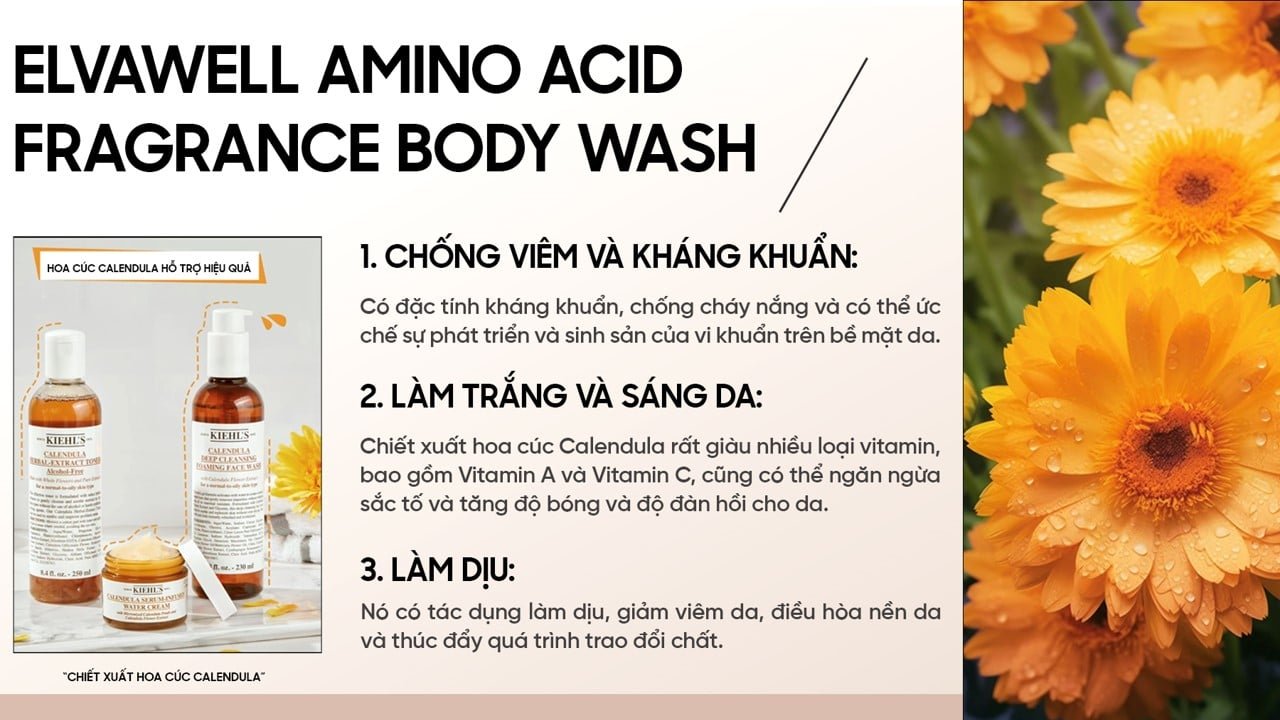 picture8-d53e0fe0f61f44019c002ccdb6f1c27f