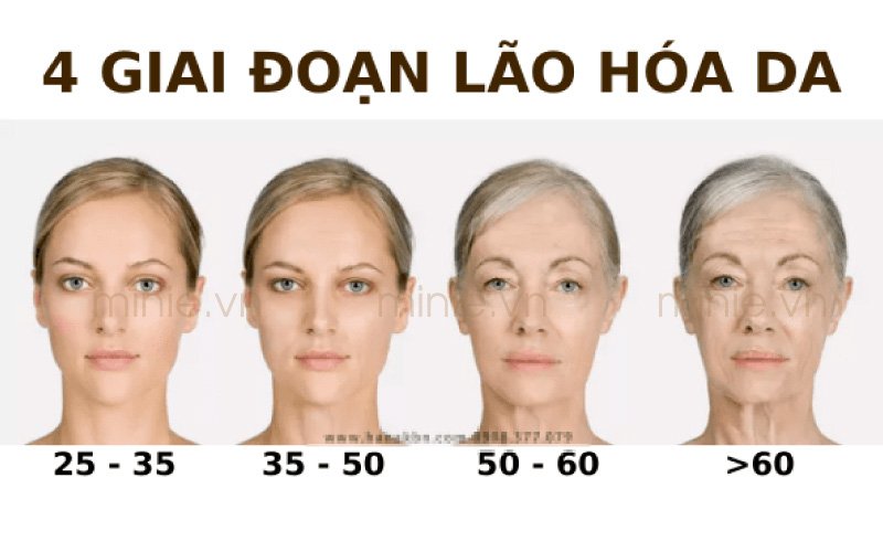 qua-trinh-lao-hoa-da-1 Qúa trình lão hóa da