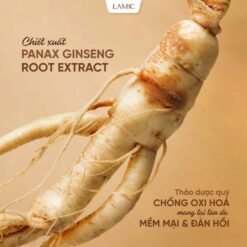 Kem dưỡng ẩm rễ bạch sâm dưỡng trắng và ngừa lão hóa da mặt LAMIC