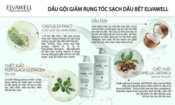 sdfwaef-e74d718f5e4543c386bb39b2eb62f247-grande