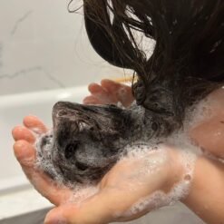 Dầu gội phục hồi tóc hư tổn do uốn, duỗi Epunol Cerablutin 500ML