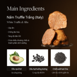 Serum dưỡng ẩm sáng da dạng xịt d'Alba piedmont 100ml