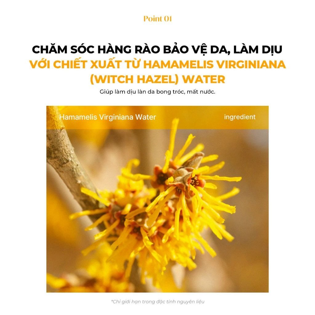 vn-11134207-7ra0g-m8kms6j3ewled8-jpeg