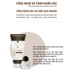 Bộ gội xả gừng detox hỗ trợ mọc tóc ngăn ngừa lão hóa da đầu Weilaiya Luxury 420ml x 200ml