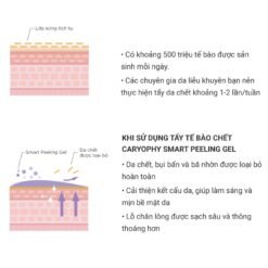 Tẩy Tế Bào Chết Thông Minh Ngăn Ngừa Mụn Caryophy Smart Peeling Gel 250ml