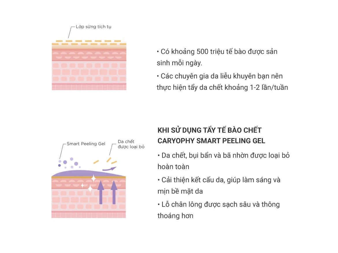 Tẩy Tế Bào Chết Thông Minh Ngăn Ngừa Mụn Caryophy Smart Peeling Gel 250ml