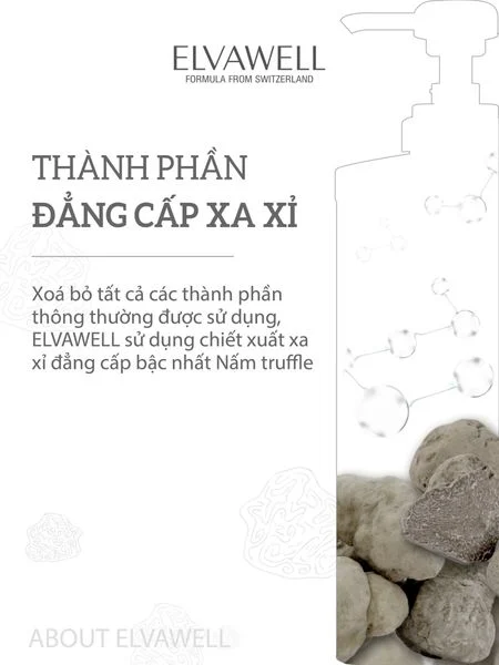 z5050682179680-2bf4a368f11c110325d44cce6273bc96-408a651a2cc6428cba0806641d93f836-grande