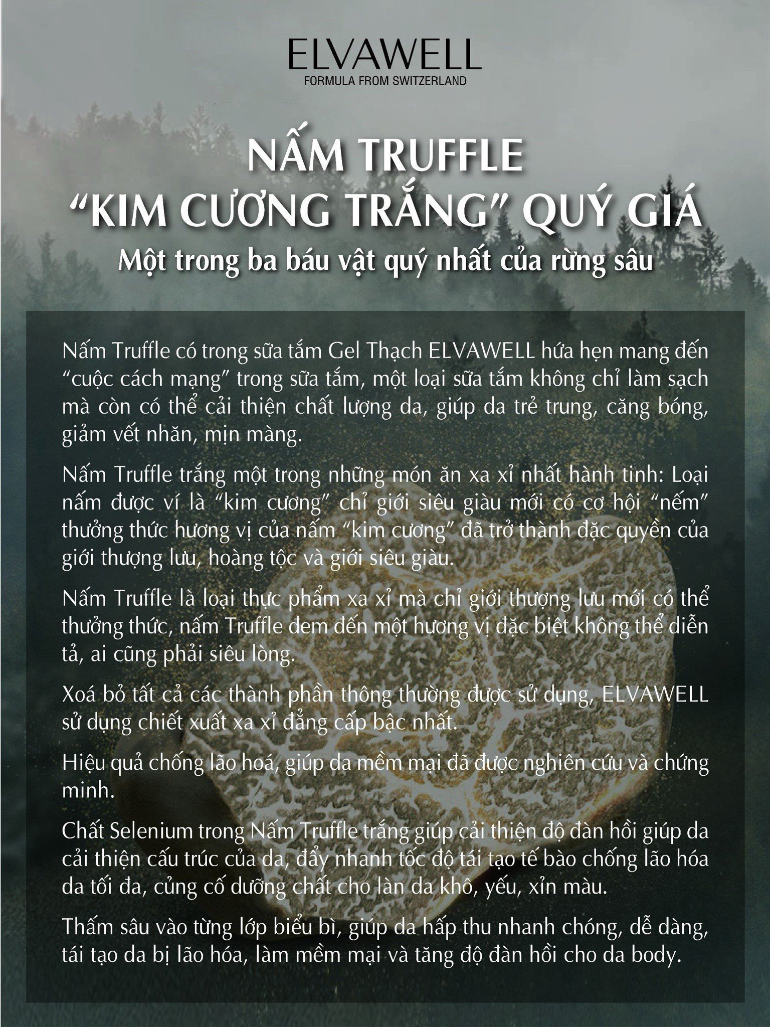 z5517509000845-dcb985ad6bfdd0a1a221389b8ca4154c-e62046a8b27e4c1ea185602f55af04cc